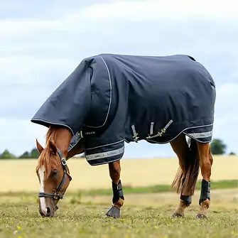 Produkt Bild LeMieux Arika Storm-Tek Rug 200g 2