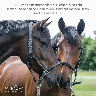 Produkt Bild STRÖH Leinsamenpellets 9kg Feedbox 7