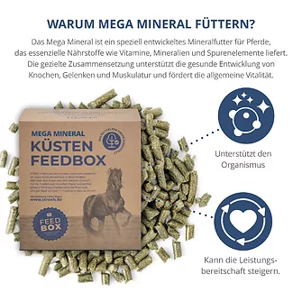 Produkt Bild STRÖH Mega Mineral 10 kg Feedbox 3