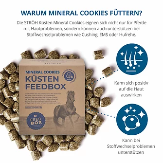 Produkt Bild STRÖH Küsten Mineral Cookies 10 kg Feedbox 2