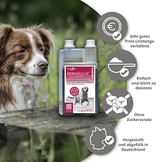 Produkt Bild STRÖH - MIRAKULIX - DOG - 500ml Dosierflasche 5