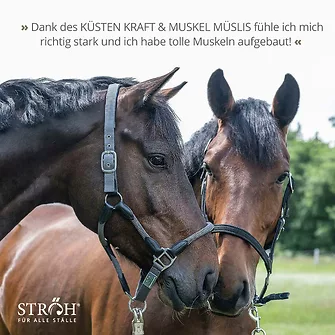 Produkt Bild STRÖH Küsten Muskel & Kraft Müsli 29kg Feedbox 7