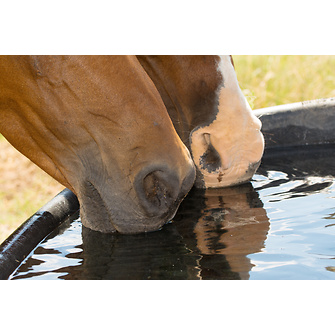 Clever Cube Aktivkohlefilter Für Pferdetränken - Sauberes Wasser Für Deine Tiere