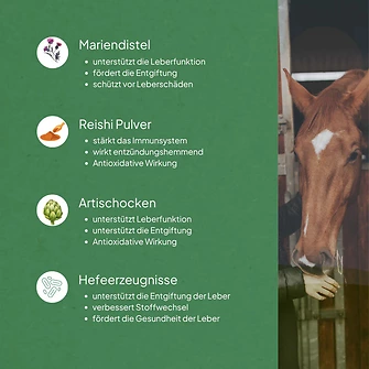 Produkt Bild EQX Leberschutz 750g Dose 2