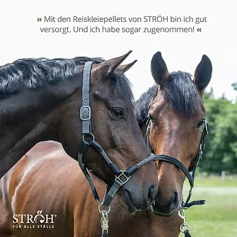 Produkt Bild STRÖH Reiskleiepellets 30kg Feedbox 7