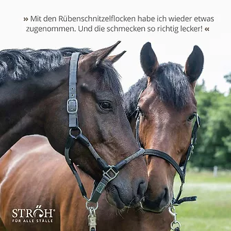 Produkt Bild STRÖH Rübenschnitzelflocken 30 kg Feedbox 7