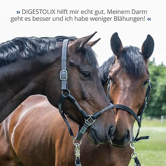 Produkt Bild STRÖH DIGESTOLIX 1L 7