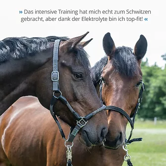 Produkt Bild STRÖH Elektrolyte 1,9 kg Beutel 7