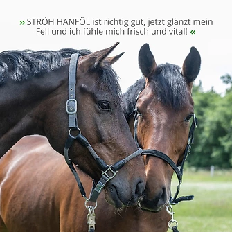 Produkt Bild STRÖH Hanföl 1L 7