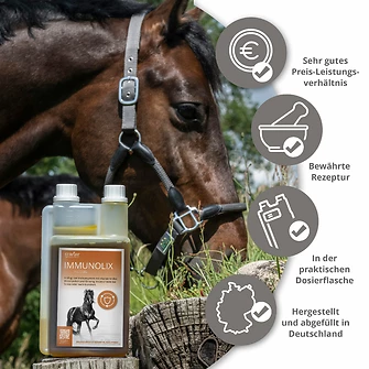 Produkt Bild STRÖH IMMUNOLIX 1L 5