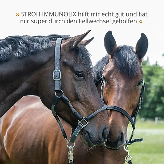 Produkt Bild STRÖH IMMUNOLIX 1L 7