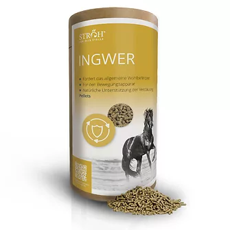 STRÖH Ingwer 1,2 kg Feedbox Dose