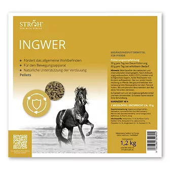 Produkt Bild STRÖH Ingwer 1,2 kg Feedbox Dose 2