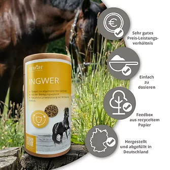 Produkt Bild STRÖH Ingwer 1,2 kg Feedbox Dose 5