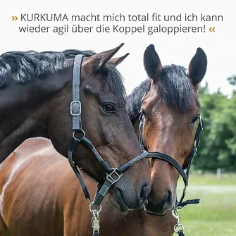 Produkt Bild STRÖH Kurkuma 1L 7
