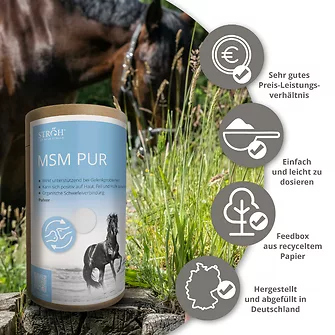 Produkt Bild STRÖH MSM Pur 1,4 kg Feedbox Dose 5