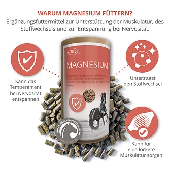 Produkt Bild STRÖH Magnesium 1,4 kg Feedbox Dose 3
