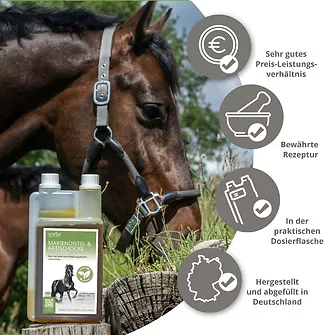 Produkt Bild STRÖH Mariendistel & Artischocke flüssig 1L 5