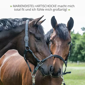 Produkt Bild STRÖH Mariendistel & Artischocke flüssig 1L 7