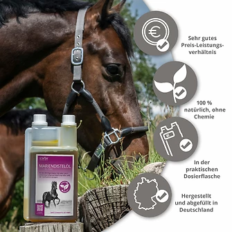 Produkt Bild STRÖH Mariendistelöl 1L 5