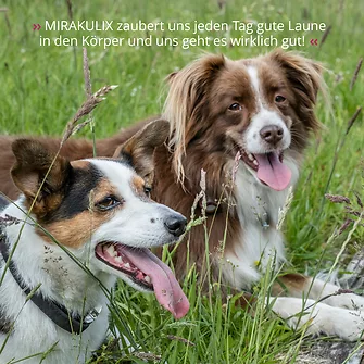 Produkt Bild STRÖH - MIRAKULIX - DOG - 500ml Dosierflasche 7