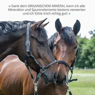 Produkt Bild STRÖH Organisches Mineral 5kg 7