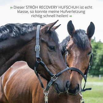 Produkt Bild STRÖH Recovery Hufschuh Gr. 1 6
