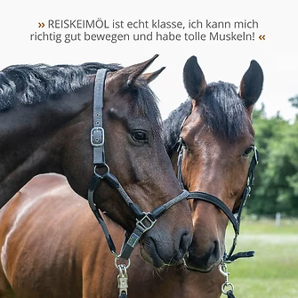 Produkt Bild STRÖH Reiskeimöl 1L 7