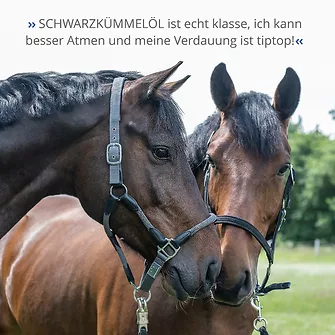 Produkt Bild STRÖH Schwarzkümmelöl 1L 7