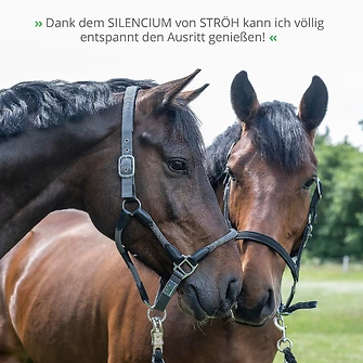 Produkt Bild STRÖH Silencium Mach ´ne Fliege! 2,5L 7