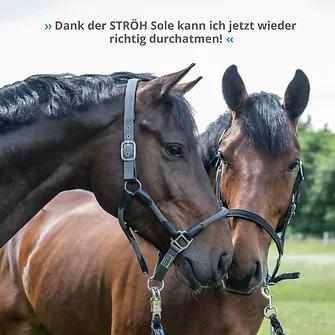 Produkt Bild STRÖH Totes - Meer - Sole 1% 1L 7