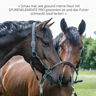 Produkt Bild STRÖH Spurenelemente Pro Pulver 4 kg 7