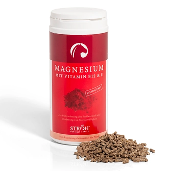 STRÖH - Magnesium 1kg