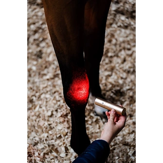 Produkt Bild Horseware LED-Rotlicht Therapiestab 3