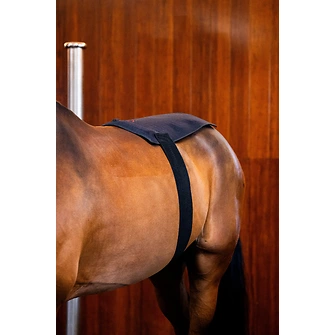 Produkt Bild Horseware LED-Rotlicht-Therapie – Körperpad 3