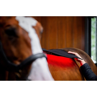 Produkt Bild Horseware LED-Rotlicht-Therapie – Körperpad 4