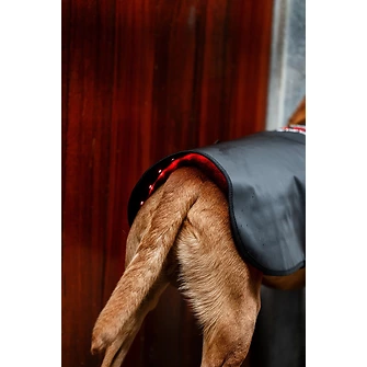 Produkt Bild Horseware LED-Rotlicht-Therapie-Hundemantel  4