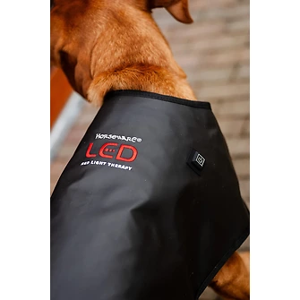 Produkt Bild Horseware LED-Rotlicht-Therapie-Hundemantel  3