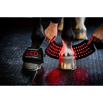 Produkt Bild Horseware LED-Rotlicht-Therapie – Minigamasche 2