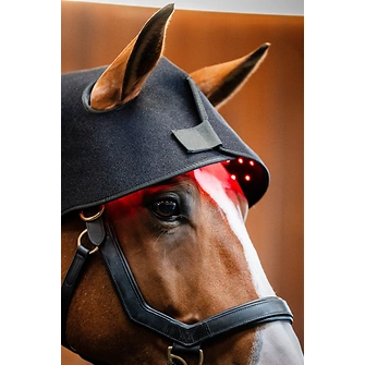 Produkt Bild Horseware LED-Rotlicht-Therapie – Genickhaube 2