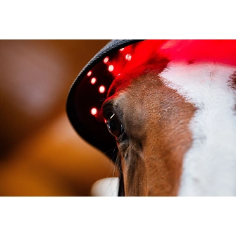 Produkt Bild Horseware LED-Rotlicht-Therapie – Genickhaube 4
