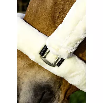 Produkt Bild BUSSE Halfter GUARD  2