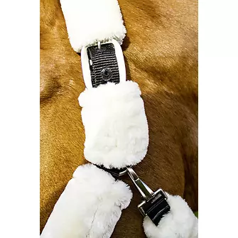 Produkt Bild BUSSE Halfter GUARD  3