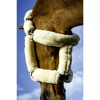 Produkt Bild BUSSE Halfter GUARD  4