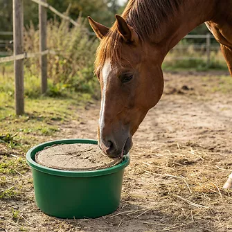 Produkt Bild Panto Leckschale für Pferde 10kg 2