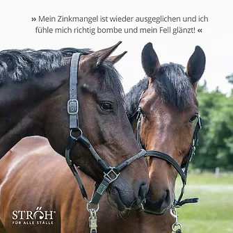 Produkt Bild STRÖH Zink 9 kg Feedbox 7