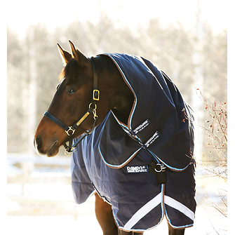 Produkt Bild Horseware Rambo Duo Turnout 100g + 300g Liner 3