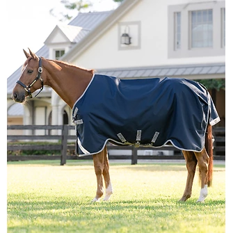 Produkt Bild Horseware Amigo 1200D Turnout 0g 3