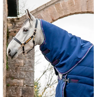 Produkt Bild Horseware Rambo Optimo Stable Plus 200g 5