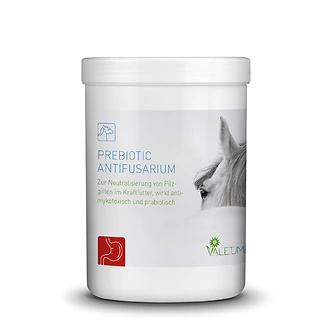 Produkt Bild Valetumed Prebiotic Antifusarium 750g 1